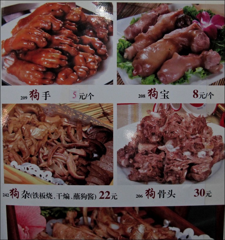 changchun dogs restaurant